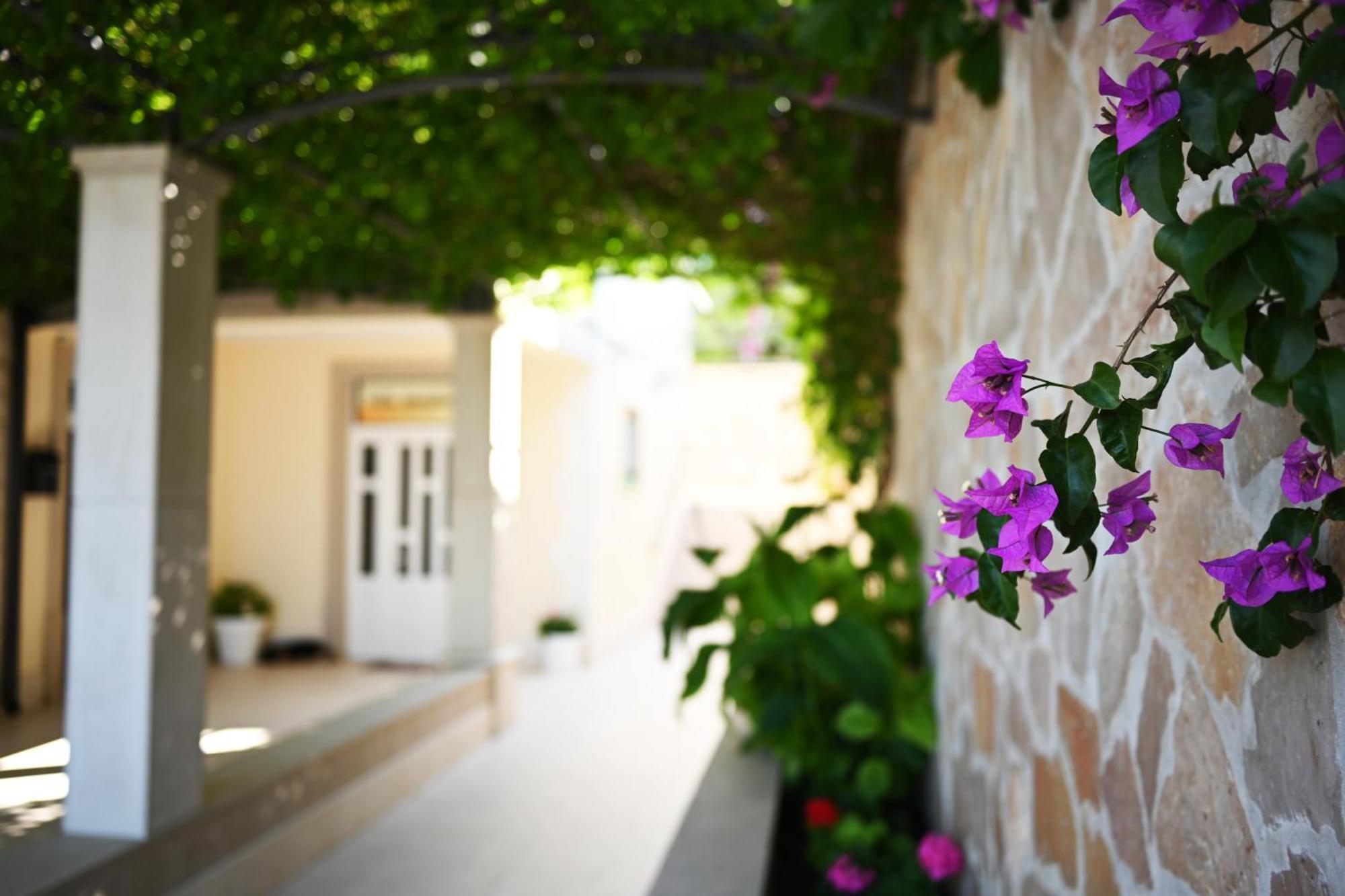 Hvar Villa Malisko Apartments Hvar Town Exterior foto